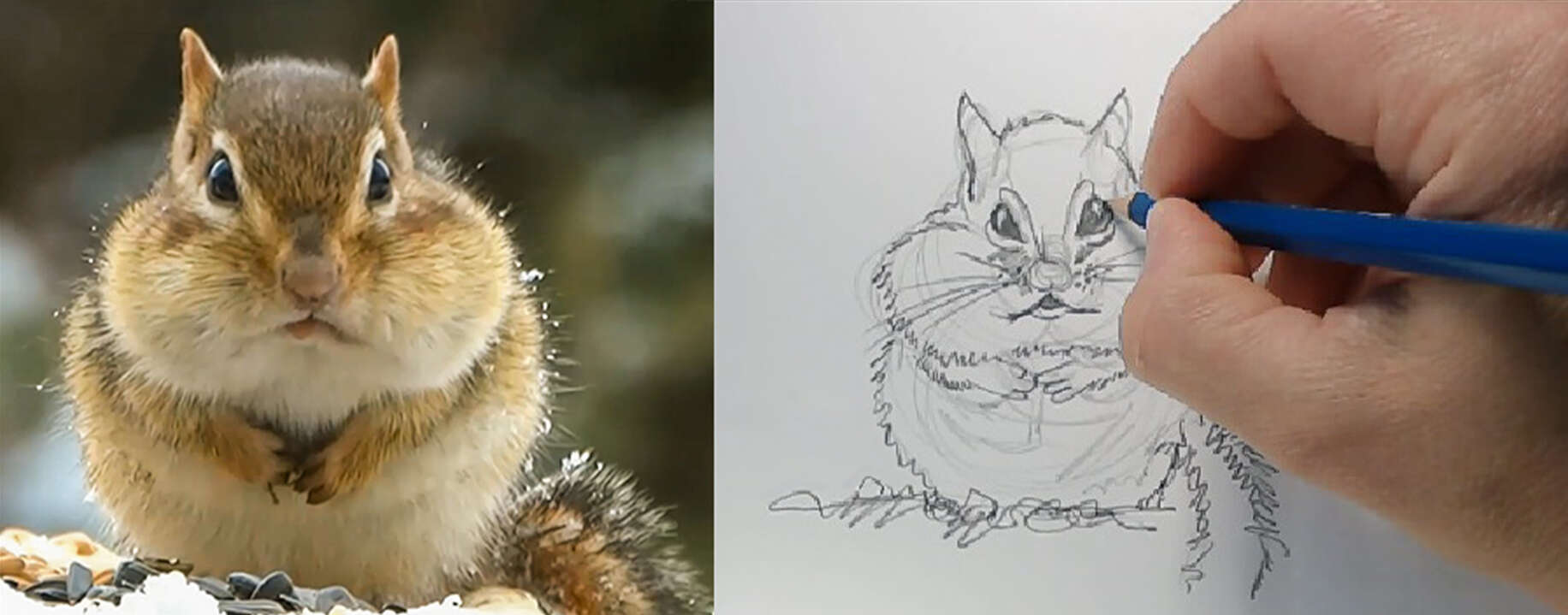 Welcome to Pencils, Paper & Nature ®